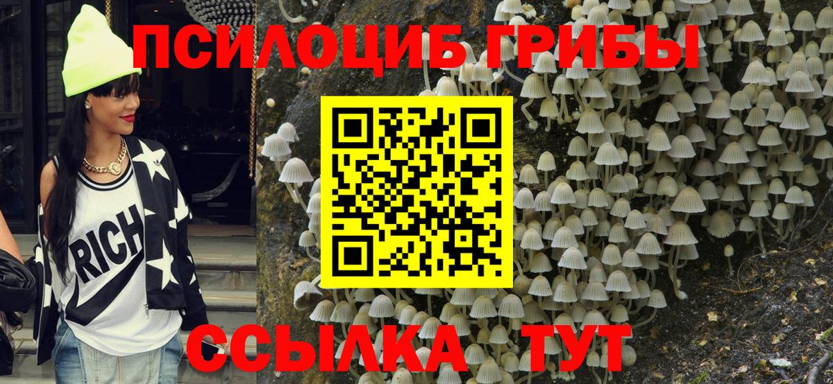 Галлюциногенные грибы мицелий Жуковский